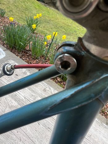 Used Colnago Mexico 1977 Road & Gravel, Blau — image 30 of 39