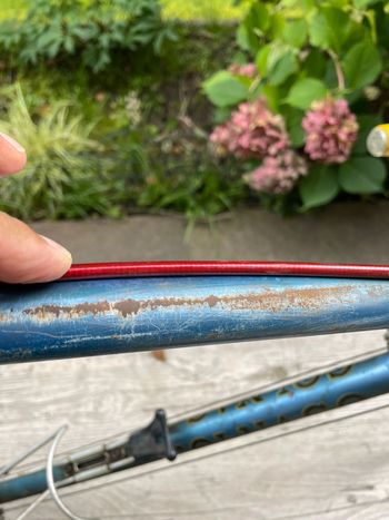 Used Colnago Mexico 1977 Road & Gravel, Blau — image 9 of 39