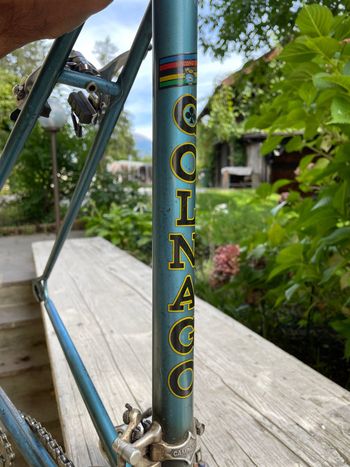 Used Colnago Mexico 1977 Road & Gravel, Blau — image 2 of 39