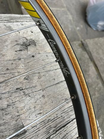 Used Colnago Mexico 1977 Road & Gravel, Blau — image 33 of 39