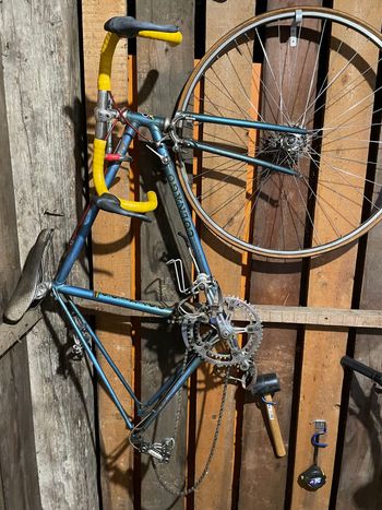 Used Colnago Mexico 1977 Road & Gravel