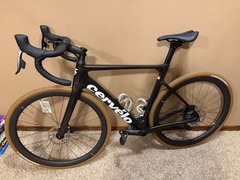 Cervelo Soloist 54 応価格交渉 2023 Cervelo Soloist Ultegra