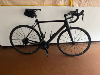 Used Olympia Carbon Lite 2021 Corsa & gravel