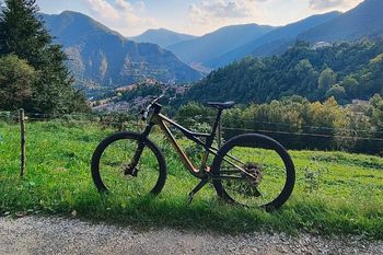 Used Orbea OIZ M21 2024 2024 Mountainbike, Green, 29 — image 2 of 10
