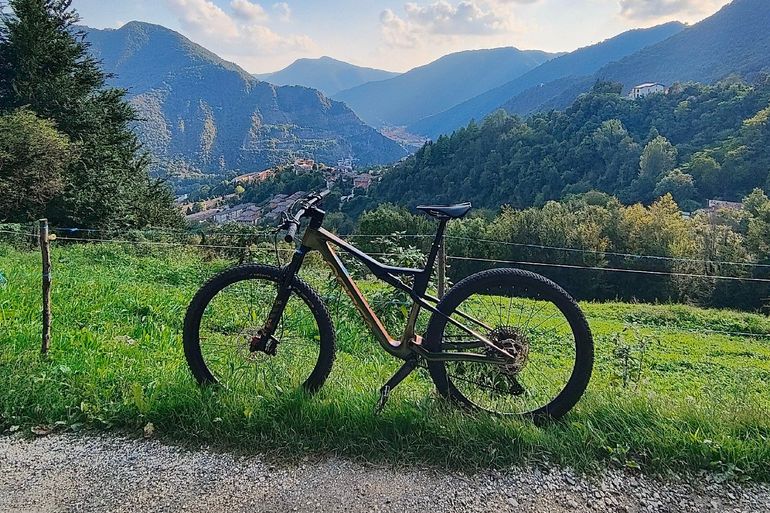 Used Orbea OIZ M21 2024 2024 Mountainbike, Green, 29 — image 2 of 10