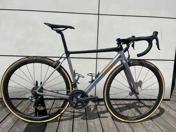 Rose, X-lite CRS Ultegra Di2 2017