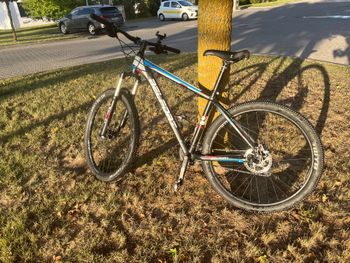 Używany Belfo Lyon 2017 Mountainbike — zdjęcie 2 z 7