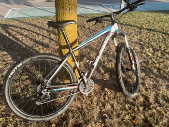 Używany Belfo Lyon 2017 Mountainbike — zdjęcie 1 z 7