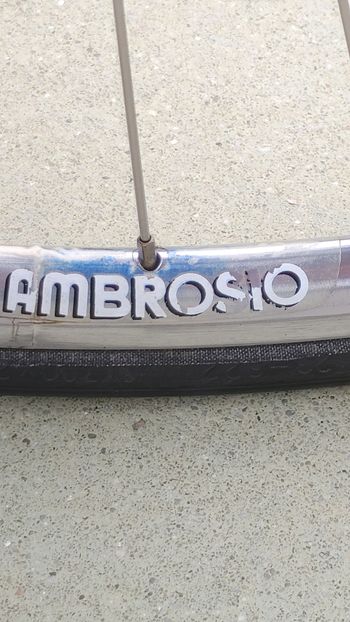 Used Colnago Decor C96 1996 Road & Gravel, Hellgrau — image 23 of 25