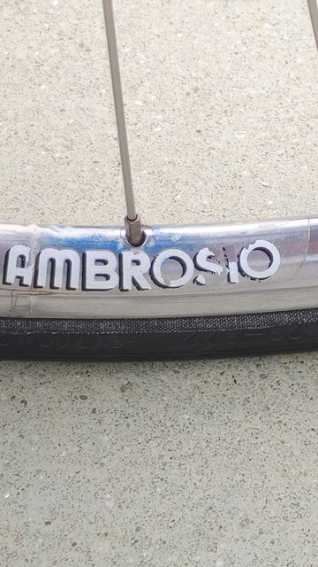 Used Colnago Decor C96 1996 Road & Gravel, Light Gray — image 23 of 25