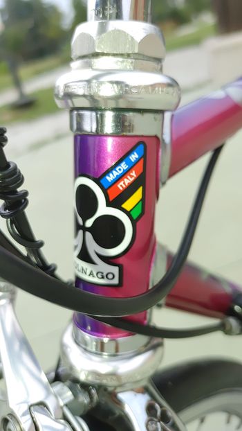 Used Colnago Decor C96 1996 Road & Gravel, Hellgrau — image 18 of 25