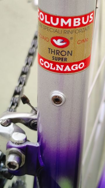 Used Colnago Decor C96 1996 Road & Gravel, Light Gray — image 9 of 25