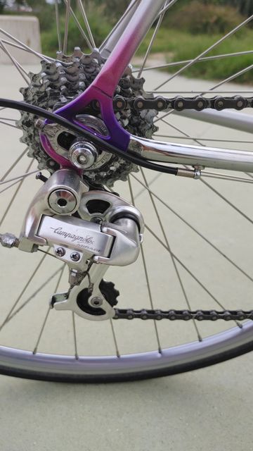 Used Colnago Decor C96 1996 Road & Gravel, Light Gray — image 11 of 25