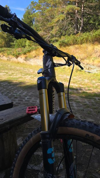 Brugt Specialized Stumpjumper EVO SRAM XX1 Eagle 2022 Mountainbike — billede 3 af 6