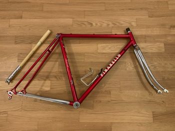 Pinarello, Pinarello