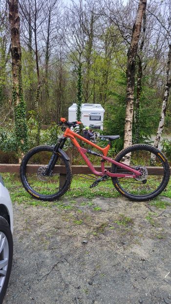 Canyon, Spectral 125 AL 5 2023