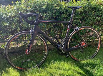 Used Wilier 101 SR 2015 Road & Gravel, Black — image 2 of 12