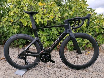 Scott, Foil RC 20 2023