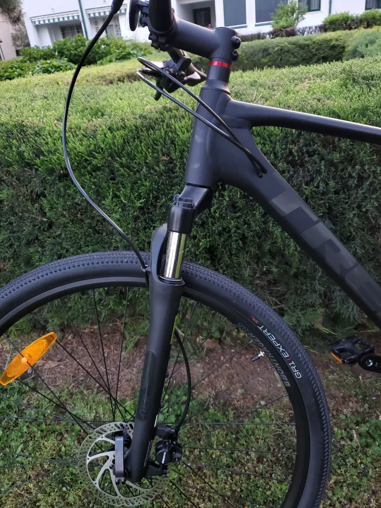 Trek dual sport 3 vs giant roam discount 2