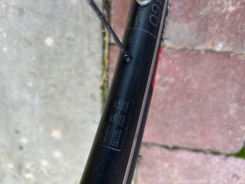 Used Specialized Allez Elite 2022 2022 Road & Gravel, Black — image 11 of 13