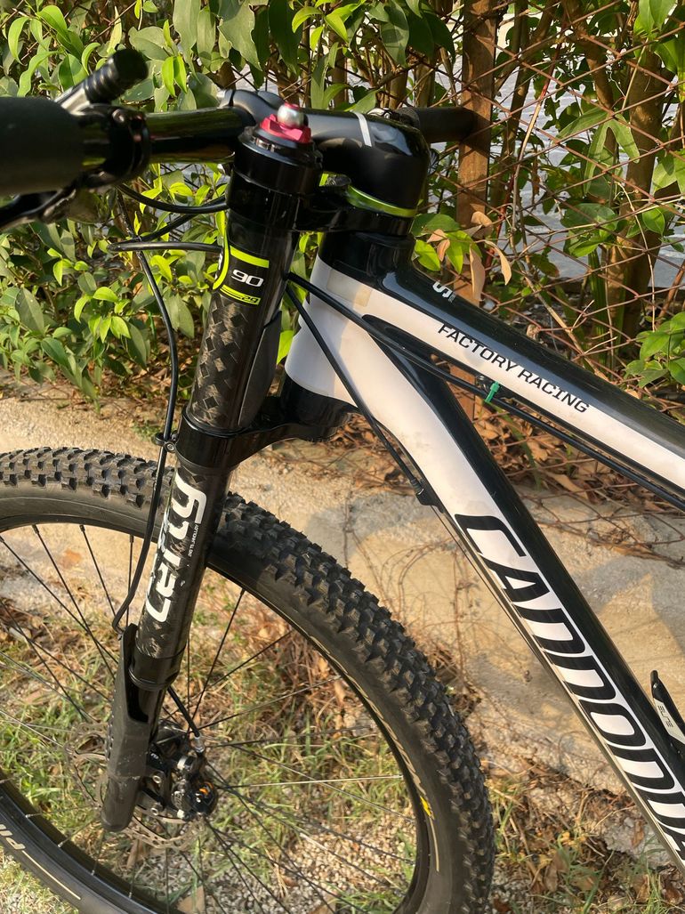 Gebrauchtes Cannondale 2015 Mountainbike, Weiß, 29 — Bild 10 von 11
