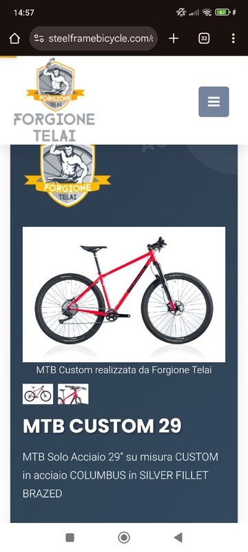 Brugt Other Brands MTB Forgione Custom 29" 2013 Mountainbike — billede 8 af 11
