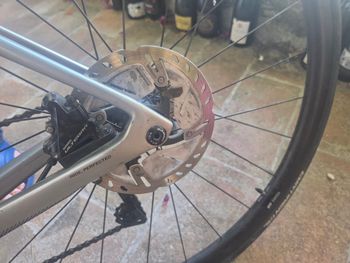 Basso Astra Ultegra2 Anno 2021 2021 Road & Gravel d'occasion — image 12 sur 18