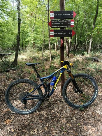 Orbea, OIZ M-TEAM 2020