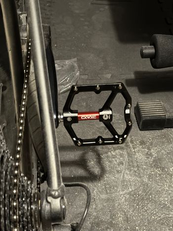 Used Trek Roscoe 8 2025 2025 Mountainbike, Black — image 3 of 3