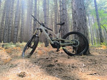 Canyon Torque On CF9 2023 Mountainbike usato, Verde — immagine 12 di 12