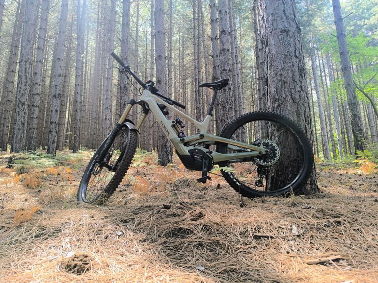 Canyon Torque On CF9 2023 Mountainbike usato, Verde — immagine 12 di 12