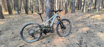 Canyon Torque On CF9 2023 Mountainbike usato, Verde — immagine 9 di 12