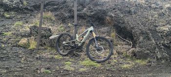 Canyon Torque On CF9 2023 Mountainbike usato, Verde — immagine 8 di 12