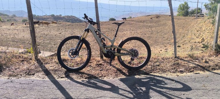 Canyon Torque On CF9 2023 Mountainbike usato, Verde — immagine 10 di 12