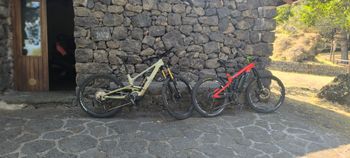 Canyon Torque On CF9 2023 Mountainbike usato, Verde — immagine 11 di 12