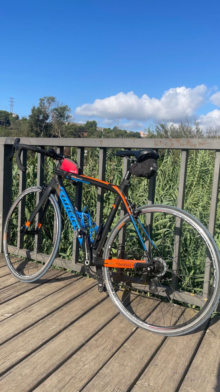 Used Wilier GTR Granturismo Campagnolo 2017 Road & Gravel, Blue — image 2 of 9