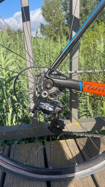 Used Wilier GTR Granturismo Campagnolo 2017 Road & Gravel, Blue — image 3 of 9