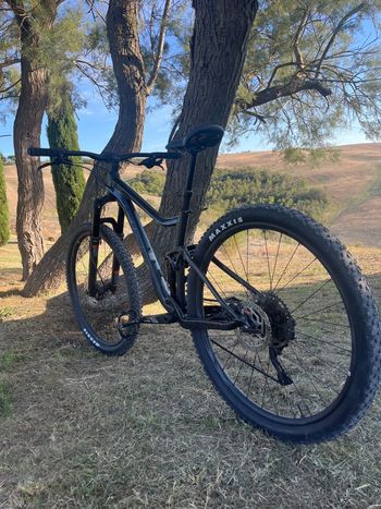 Used Giant Stance 29 2 2024 2024 Mountainbike, Black, 29 — image 10 of 13