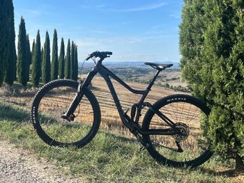 Used Giant Stance 29 2 2024 2024 Mountainbike, Black, 29 — image 1 of 13