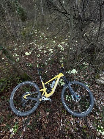 Santa Cruz, MEGATOWER X01 / Air / Carbon CC / 29 2022 Frameset