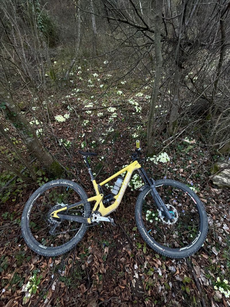 Używany Santa Cruz MEGATOWER X01 / Air / Carbon CC / 29 2022 Frameset 2022 MTB