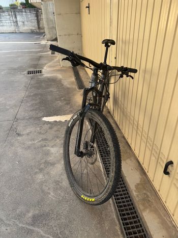 Used Trek Procaliber 9.6 2023 2023 Mountainbike — image 3 of 4