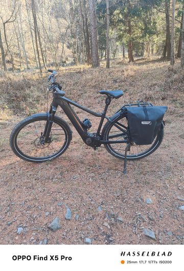 Used Giant Explore E+0 Pro Gts 2025 Mountainbike, Black, 29 — image 1 of 3