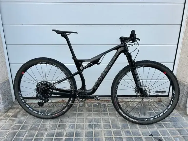 Coluer Stake CR 2021