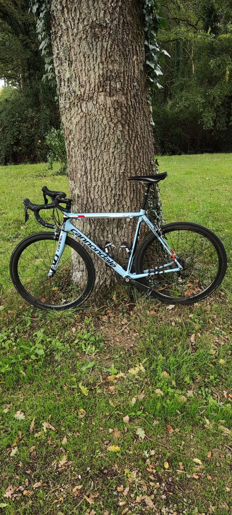 Cannondale Cannondale Supersix Evo 2015 2015