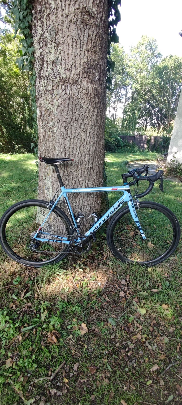 Cannondale Cannondale Supersix Evo 2015 2015