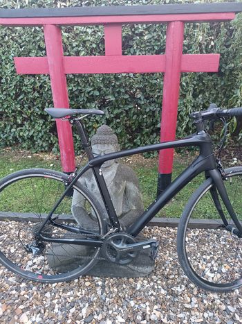 Brugt Trek Domane SLR 6 Disc 2019 2019 Road & Gravel