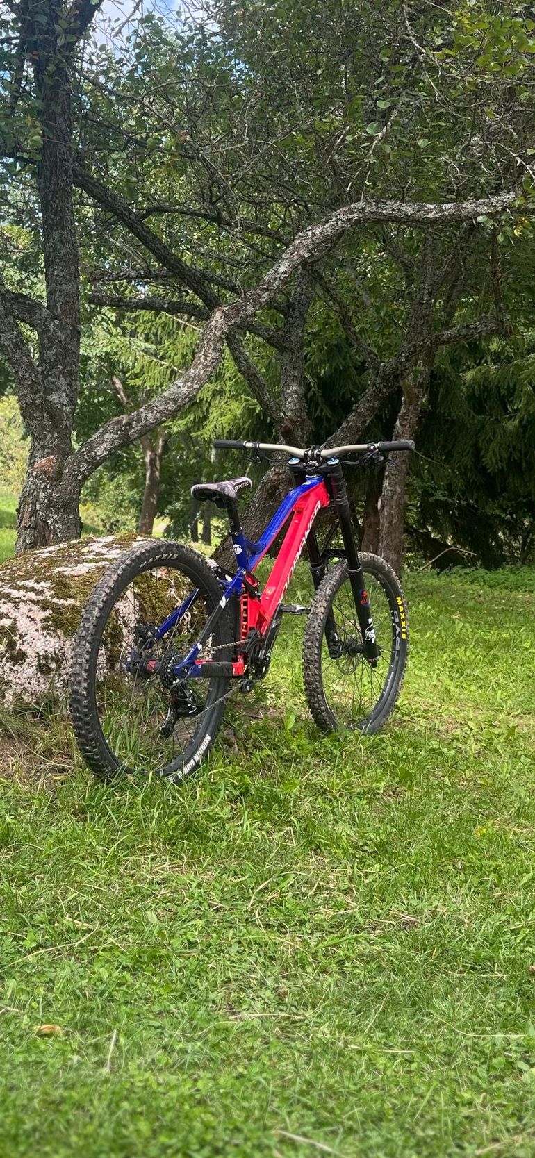 Used Mondraker Summum Pro 2020 2020 Mountainbike, Red — image 3 of 15