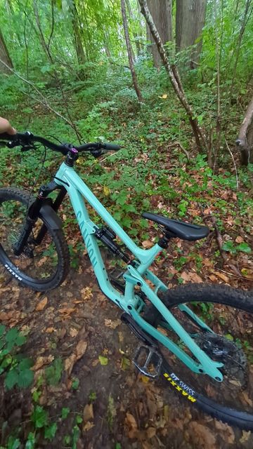 Tweedehands Canyon Torque Mullet AL 5 2023 2023 Mountainbike — afbeelding 3 van 3