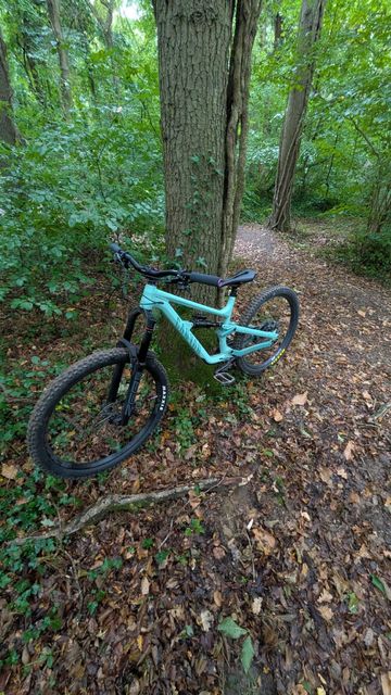 Tweedehands Canyon Torque Mullet AL 5 2023 2023 Mountainbike — afbeelding 2 van 3